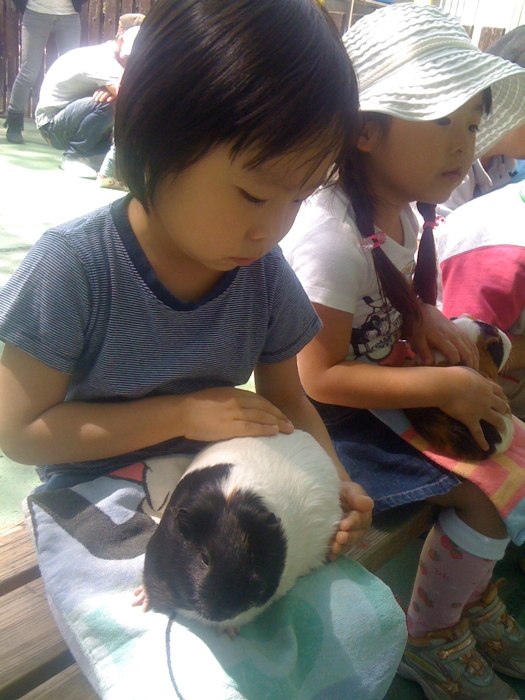 Image posted by MobyPicture.com