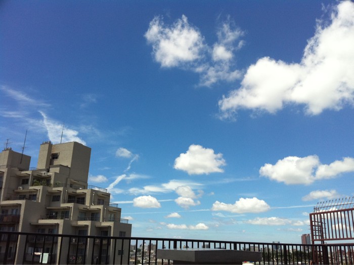 Image posted by MobyPicture.com