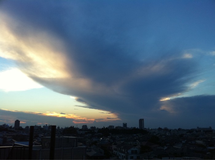 Image posted by MobyPicture.com