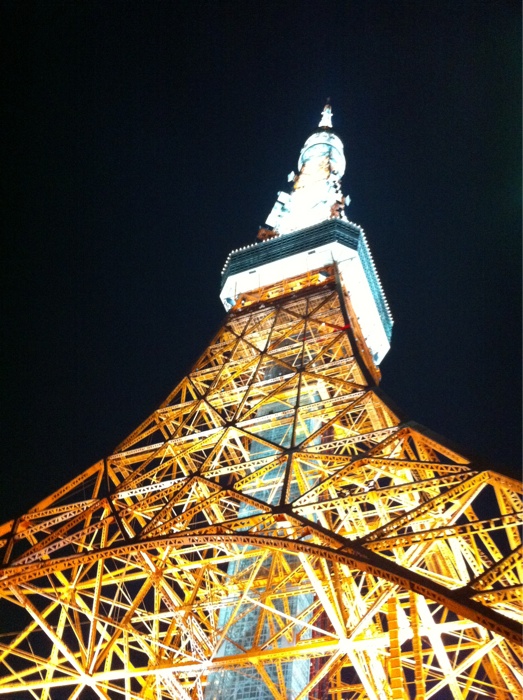 Image posted by MobyPicture.com